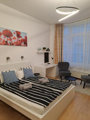 Central Belvedere Apartman